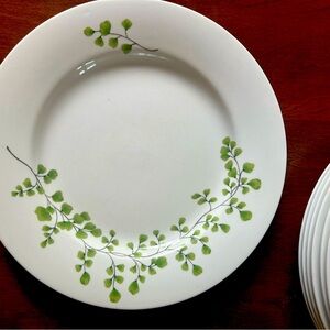 Martha Stewart plates